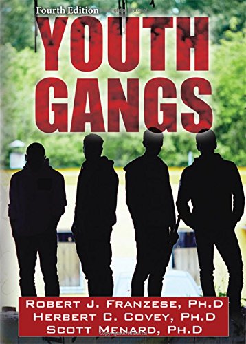 Stock image for Youth Gangs for sale by Better World Books