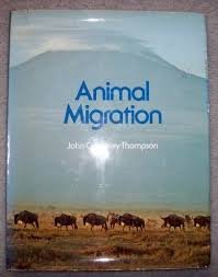 Stock image for Animal Migration for sale by Montclair Book Center