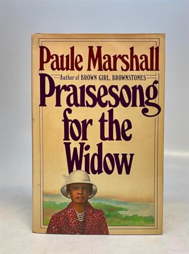 9780399127540: Praise-Song for the Widow