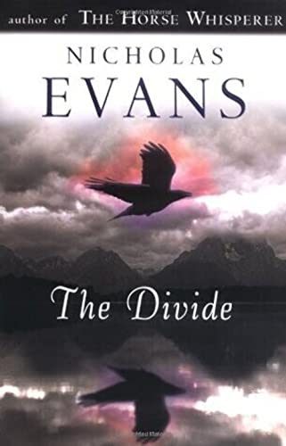 Stock image for The Divide for sale by Gulf Coast Books