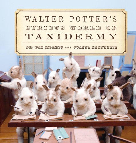 Imagen de archivo de Walter Potters Curious World of Taxidermy a la venta por Goodwill Books