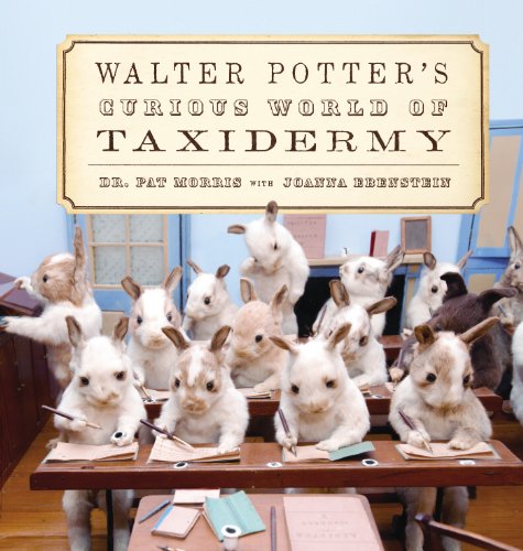 Stock image for Walter Potter's Curious World of Taxidermy for sale by HPB-Ruby