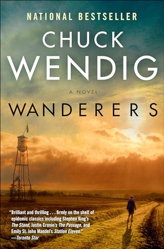 Stock image for Wanderers: A Novel for sale by Goodwill Books