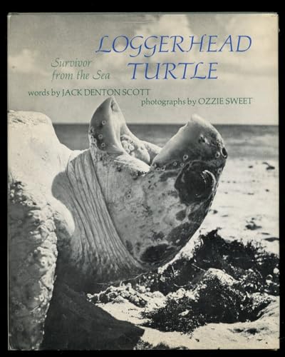 Imagen de archivo de LOGGERHEAD TURTLE: Survivor of the Sea a la venta por North Country Books