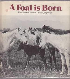 A Foal Is Born (English and German Edition) (9780399205170) by Isenbart, Hans-Heinrich