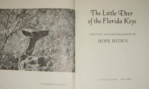 Beispielbild fr The Little Deer of the Florida Keys zum Verkauf von Better World Books