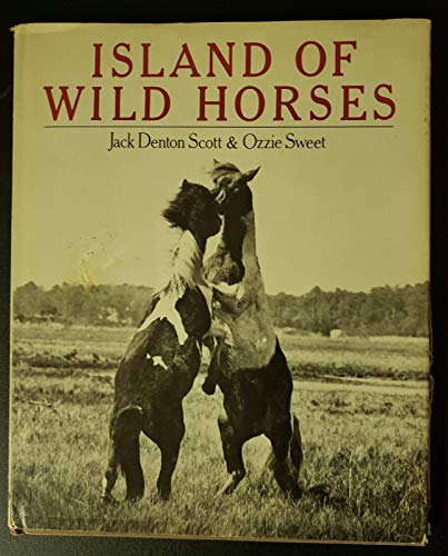 Imagen de archivo de Island of Wild Horses a la venta por Better World Books