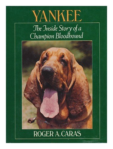 Beispielbild fr Yankee : The Inside Story of a Champion Bloodhound zum Verkauf von Better World Books
