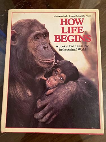 How Life Begins: A Look at Birth and Care in the Animal World (9780399211997) by Chrissy Rankin; Jennifer Coldrey