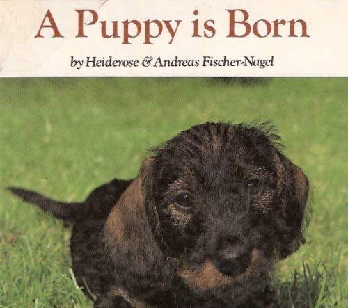 Beispielbild fr A Puppy Is Born zum Verkauf von ThriftBooks-Atlanta