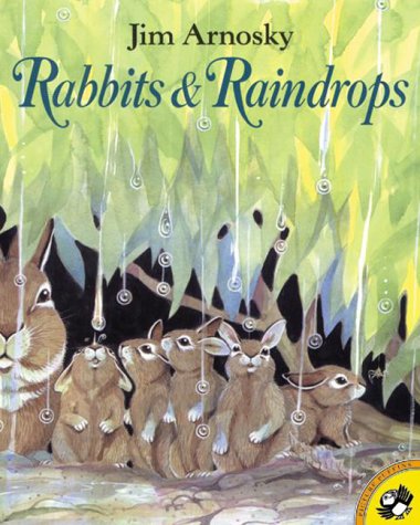 Rabbits and Raindrops (9780399226359) by Arnosky, Jim