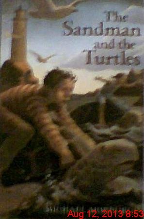 Imagen de archivo de Sandman & The Turtle a la venta por Wonder Book