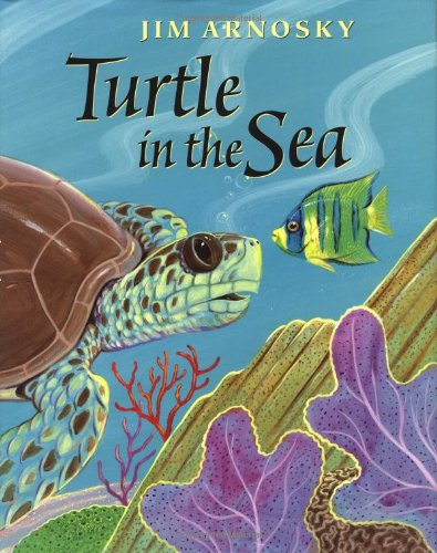 Beispielbild fr Turtle in the Sea zum Verkauf von Wonder Book