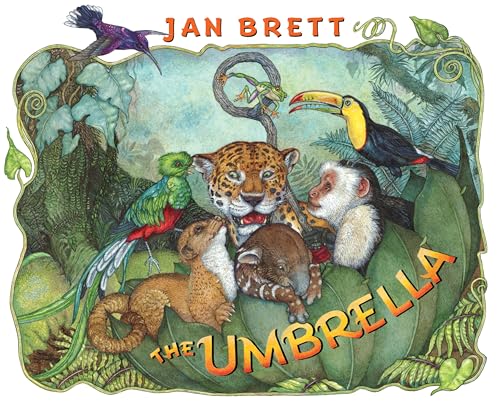 Stock image for The Umbrella for sale by Gulf Coast Books