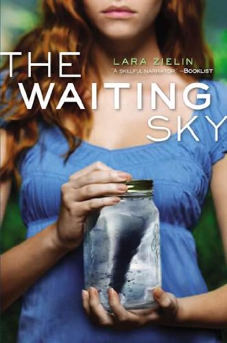 Beispielbild fr The Waiting Sky zum Verkauf von Better World Books