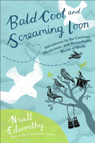 9780399535680: Bald Coot and Screaming Loon: Adventures in the Curious, Mysterious and Remarkable World of Birds
