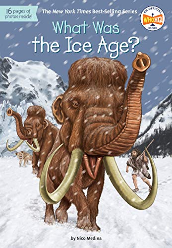 Imagen de archivo de What Was the Ice Age? a la venta por SecondSale