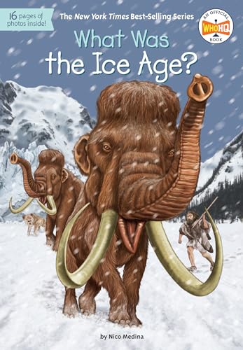 Stock image for What Was the Ice Age? for sale by SecondSale