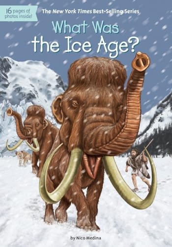 Imagen de archivo de What Was the Ice Age? a la venta por Better World Books
