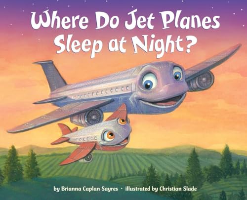 Stock image for Where Do Jet Planes Sleep at Night? (Where Do.Series) for sale by Gulf Coast Books