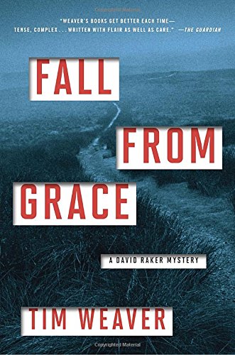 Stock image for Fall from Grace (A David Raker Mystery) for sale by Wonder Book