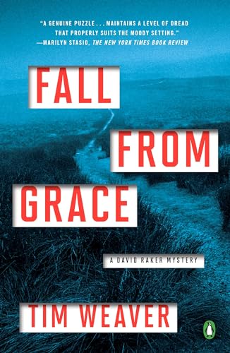 Stock image for Fall from Grace: A David Raker Mystery for sale by SecondSale