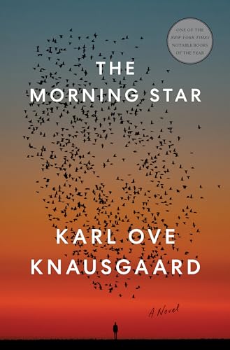 Beispielbild fr The Morning Star: A Novel zum Verkauf von Goodwill of Colorado