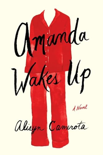Beispielbild fr Amanda Wakes Up zum Verkauf von Better World Books