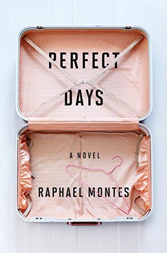 Beispielbild fr Perfect Days: A Novel zum Verkauf von Better World Books