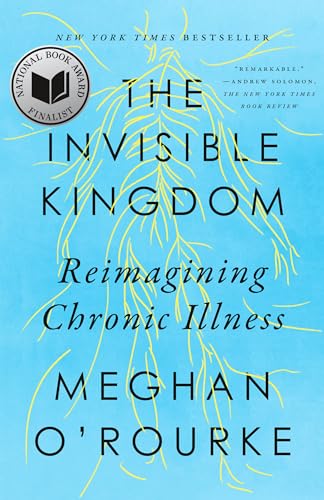 Imagen de archivo de The Invisible Kingdom: Reimagining Chronic Illness a la venta por Goodwill of Colorado