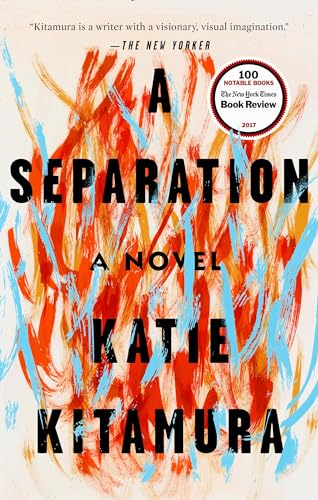 Stock image for A Separation: A Novel for sale by Blue Vase Books