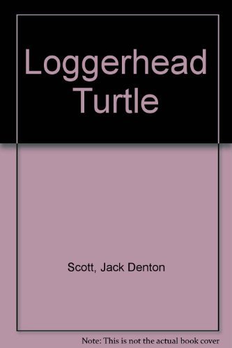 Stock image for Loggerhead Turtle; Survivor from the Sea for sale by Allen's Bookshop