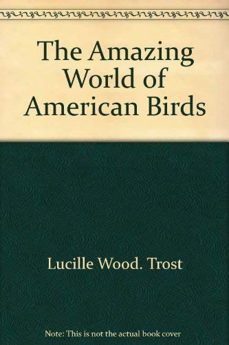 Stock image for The Amazing World of American Birds for sale by ThriftBooks-Dallas