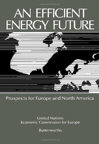 Beispielbild fr An Efficient Energy Future: Prospects for Europe and North America zum Verkauf von Anybook.com
