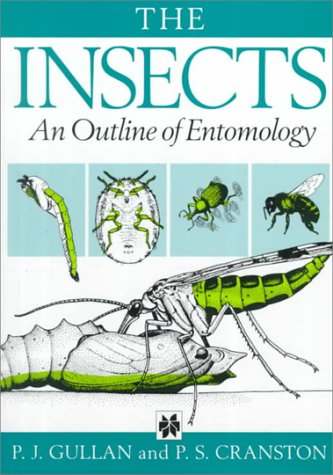 Imagen de archivo de Insects : An Outline of Entomology a la venta por Irish Booksellers