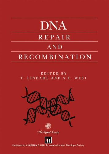 Image d'archives pour DNA Repair and Recombination mis en vente par P.C. Schmidt, Bookseller