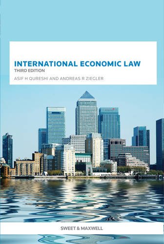 Imagen de archivo de International Economic Law a la venta por AwesomeBooks