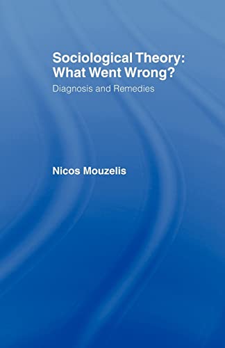 Stock image for Sociological Theory: What went Wrong?: Diagnosis and Remedies (Relations) for sale by WorldofBooks