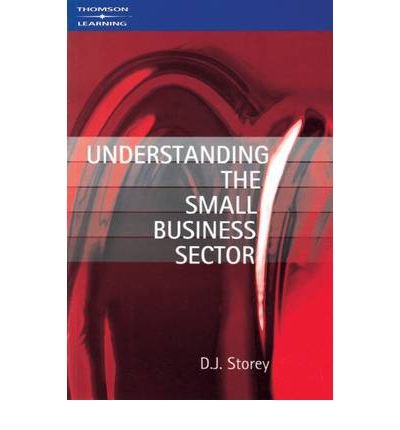 Stock image for Understanding the Small Business Sector for sale by Goldstone Books