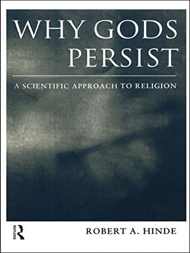 Imagen de archivo de Why Gods Persist: A Scientific Approach to Religion a la venta por SecondSale