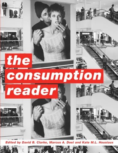 9780415213776: The Consumption Reader