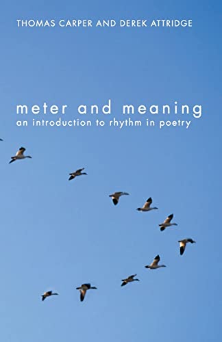 9780415311755: Meter and Meaning: An Introduction to Rhythm in Poetry