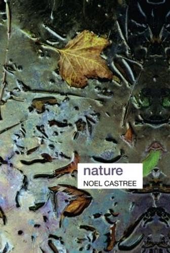 9780415339049: Nature (Key Ideas in Geography)
