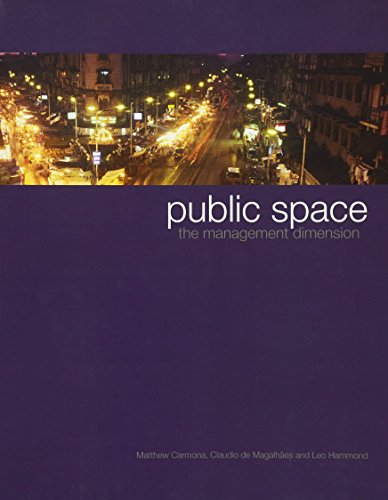 Stock image for Public Space: The Management Dimension for sale by THE SAINT BOOKSTORE