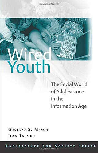 Imagen de archivo de Wired Youth: The Social World of Adolescence in the Information Age (Adolescence and Society) a la venta por Bookmans