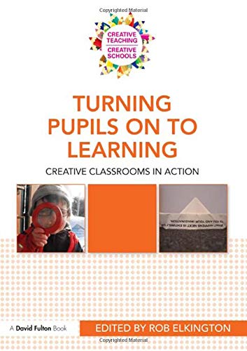 Imagen de archivo de Turning Pupils on to Learning: Creative classrooms in action (Creative Teaching/Creative Schools) a la venta por Chiron Media