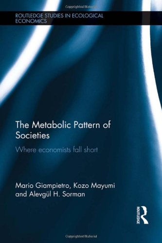 9780415589536: The Metabolic Pattern of Societies: Where Economists Fall Short: 15 (Routledge Studies in Ecological Economics)