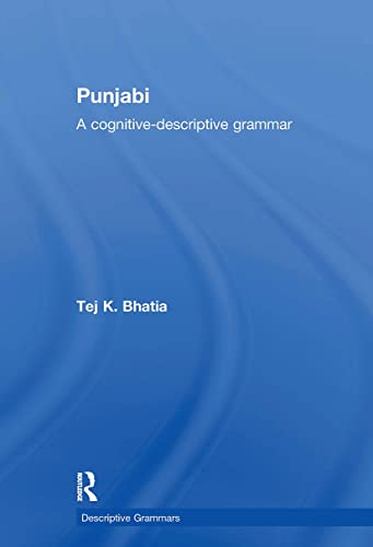 9780415589932: Punjabi (Descriptive Grammars): A cognitive-descriptive grammar