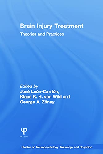 9780415653701: Brain Injury Treatment: Theories and Practices (Studies on Neuropsychology, Neurology and Cognition)