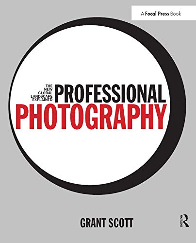 Stock image for Professional Photography : The New Global Landscape Explained for sale by Better World Books